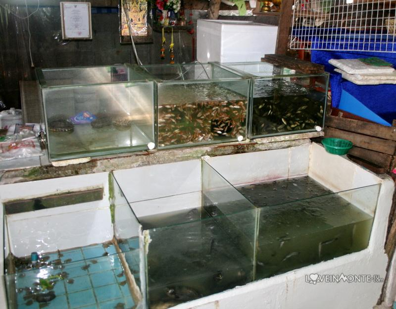 Bangrak Fish Market on Koh Samui