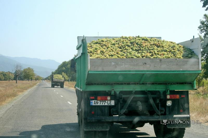 Where to go in Georgia