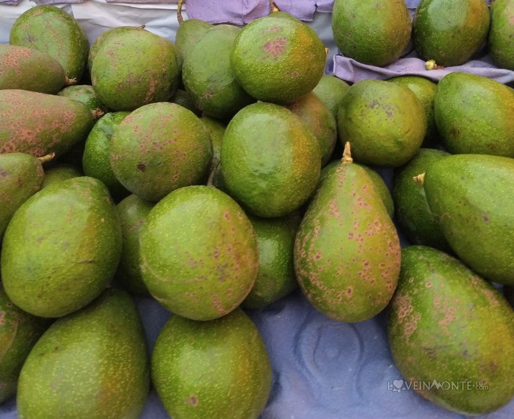 Бразильские авокадо