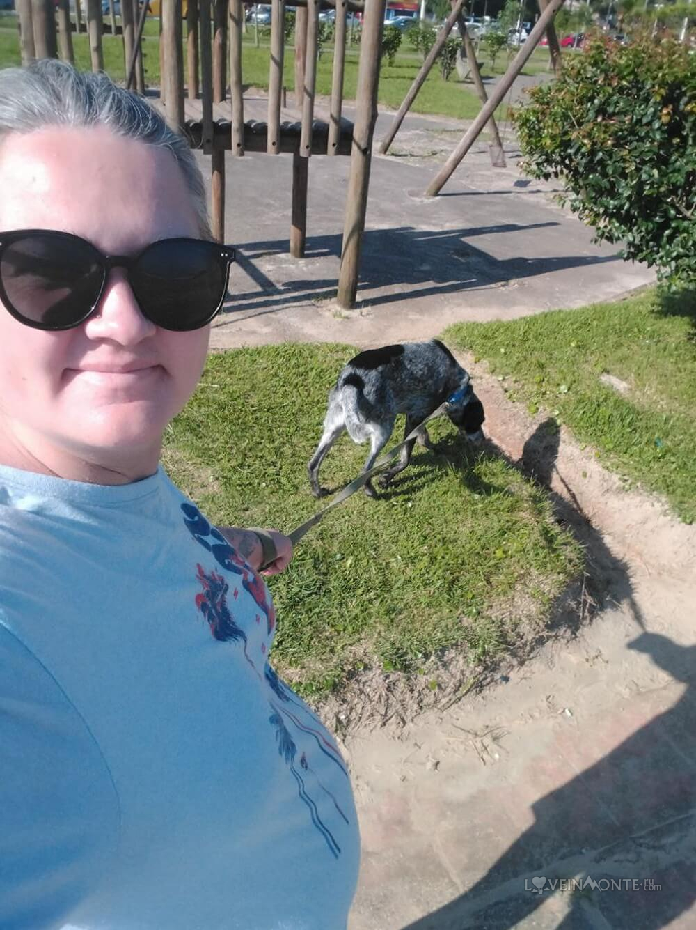 Собака в Сантосе