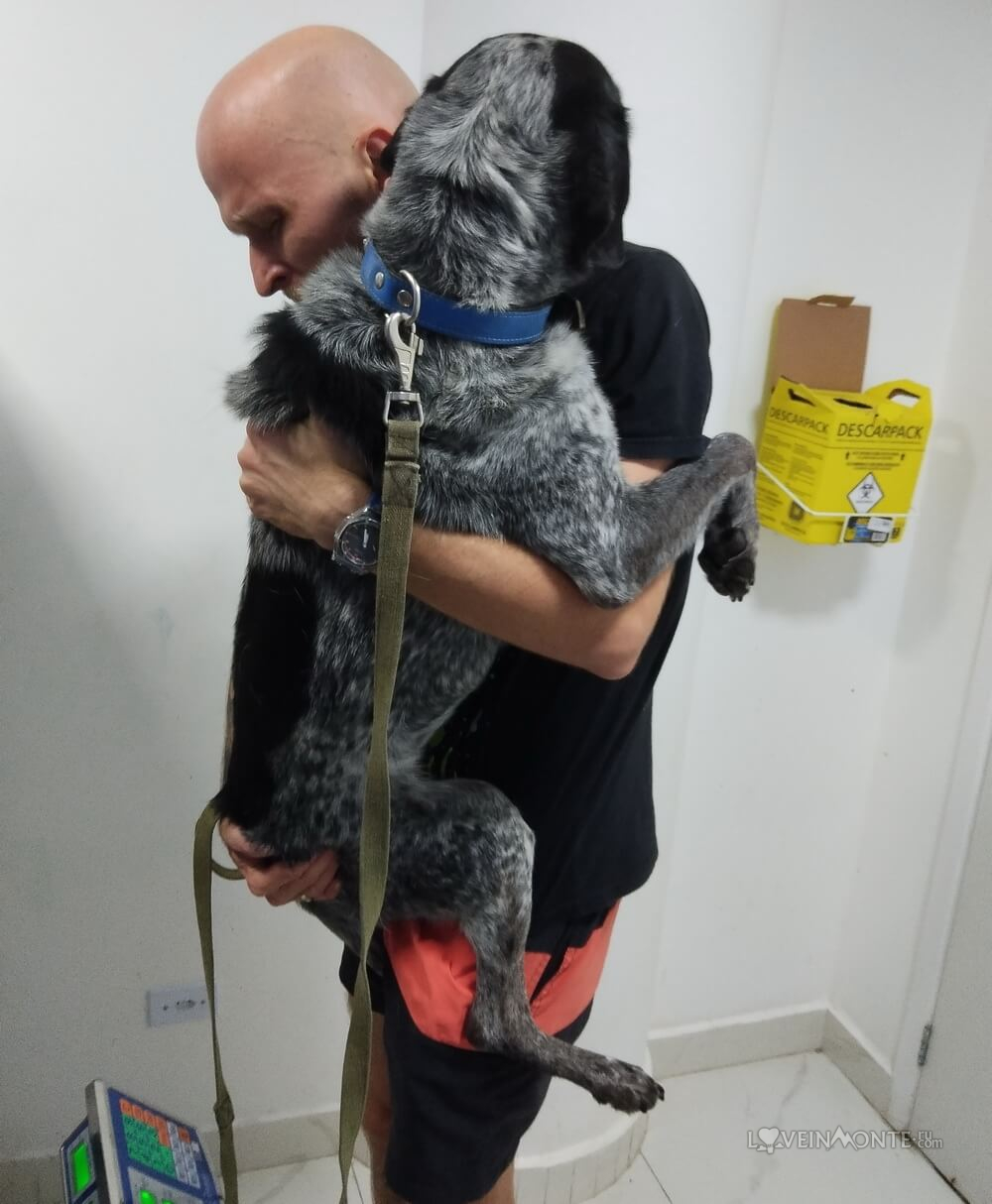 Ветеринарная клиника в Сантосе