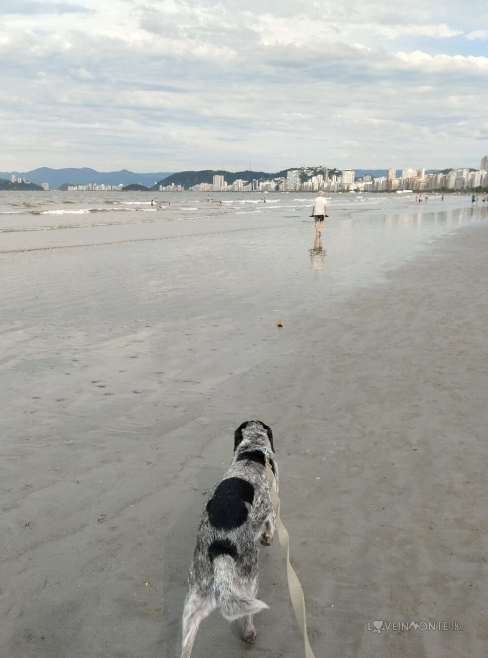 С животным в Сантосе