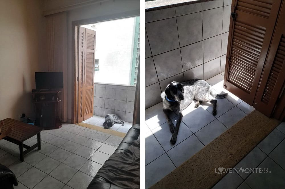 жилье в Сантосе